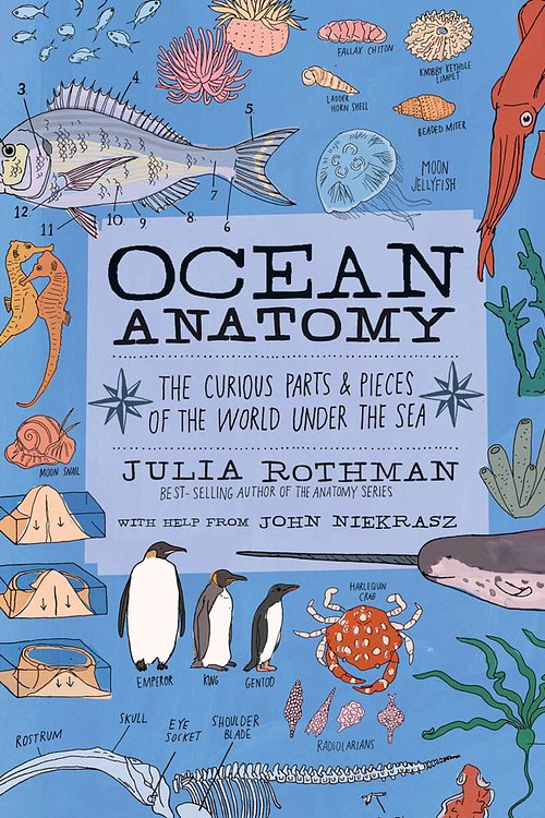 Cover Art for 9781635861600, Ocean Anatomy by Julia Rothman
