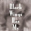 Cover Art for 9780486824055, Black Wings Has My Angel by Elliott Chaze