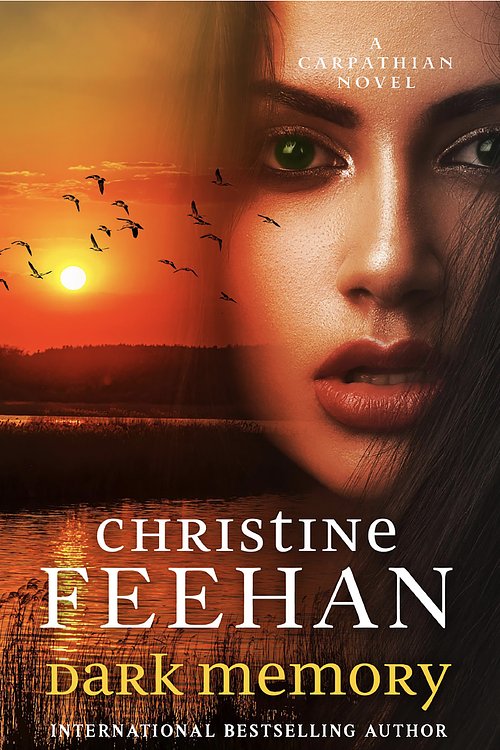 Cover Art for 9780349438214, Dark Memory by Christine Feehan