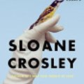 Cover Art for 9781443445085, Look Alive Out There by Sloane Crosley