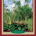 Cover Art for 9780516206677, Everglades National Park by Wende Fazio