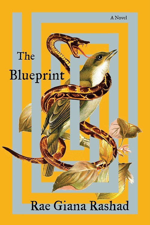 Cover Art for 9780063330115, The Blueprint by Rashad, Rae Giana