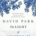 Cover Art for 9781408821367, The Light of Amsterdam by David Park