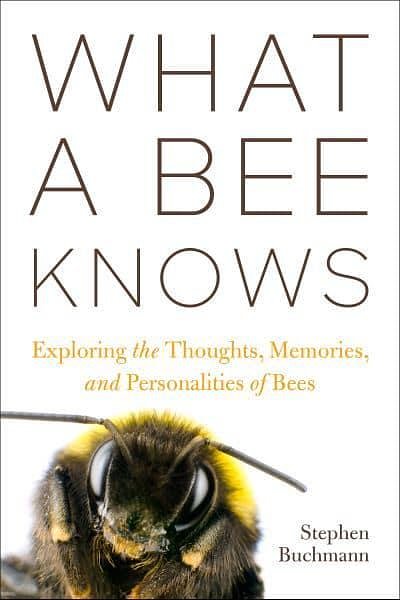 Cover Art for 9781642833911, What a Bee Knows: Exploring the Thoughts, Memories, and Personalities of Bees by Stephen L. Buchmann