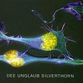 Cover Art for 9780805382853, Human Physiology: Student Workbook by Dee Unglaub Silverthorn, Richard Damian Hill