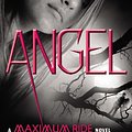 Cover Art for 9780316122191, Angel by James Patterson　著