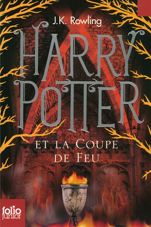 Cover Art for 9782070643059, Harry Potter - French by J. K. Rowling