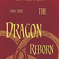 Cover Art for 9780356503844, The Dragon Reborn: Book 3 of the Wheel of Time by Robert Jordan