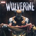 Cover Art for 9780785140382, Wolverine by Hachette Australia