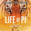 Cover Art for 9781841953922, Life of Pi by Yann Martel