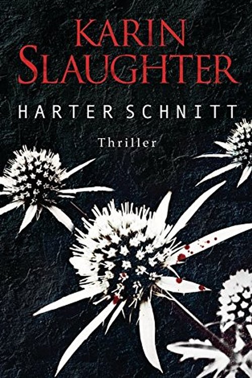 Cover Art for 9783764504151, Harter Schnitt by Karin Slaughter