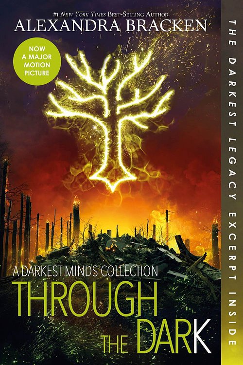 Cover Art for 9781368022484, Through the Dark by Alexandra Bracken