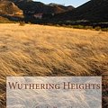 Cover Art for 9781448645282, Wuthering Heights by Emily Bronte, Tom Thomas