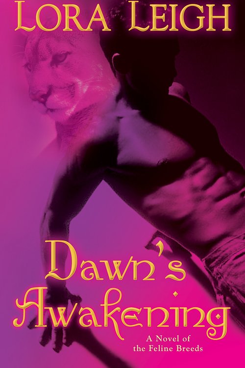 Cover Art for 9781101147429, Dawn’s Awakening by Lora Leigh