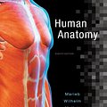 Cover Art for 9780134243818, Human Anatomy by Elaine N. Marieb, Patricia Brady Wilhelm, Jon B. Mallatt