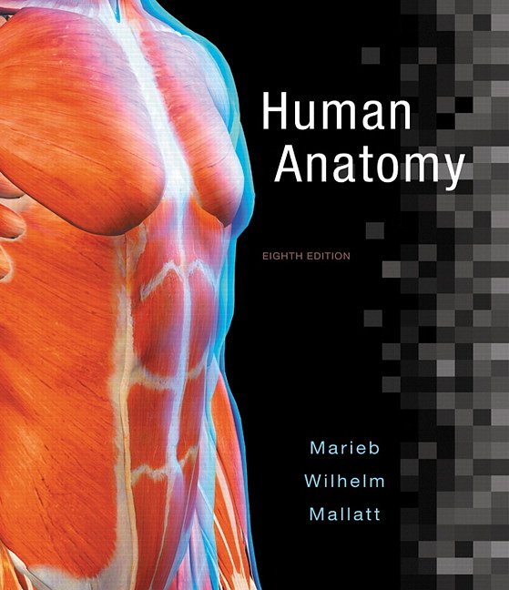 Cover Art for 9780134243818, Human Anatomy by Elaine N. Marieb, Patricia Brady Wilhelm, Jon B. Mallatt