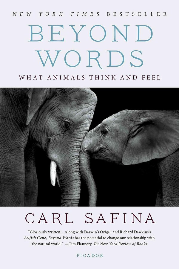 Cover Art for 9781250094599, Beyond Words: What Animals Think and Feel by Carl Safina