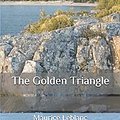 Cover Art for 9798656906548, The Golden Triangle by Maurice Leblanc