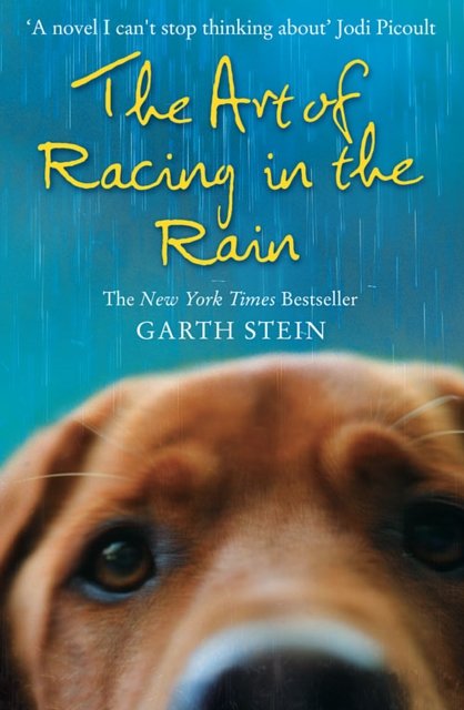 Cover Art for 9780007281190, The Art of Racing in the Rain by Garth Stein