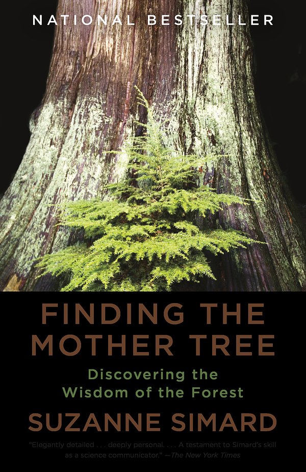 Cover Art for 9780525565994, Finding the Mother Tree by Suzanne Simard