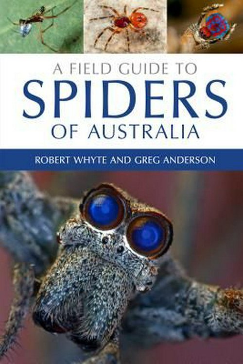 Cover Art for 9780643107076, A Field Guide to Spiders of Australia by Robert Whyte, Greg Anderson