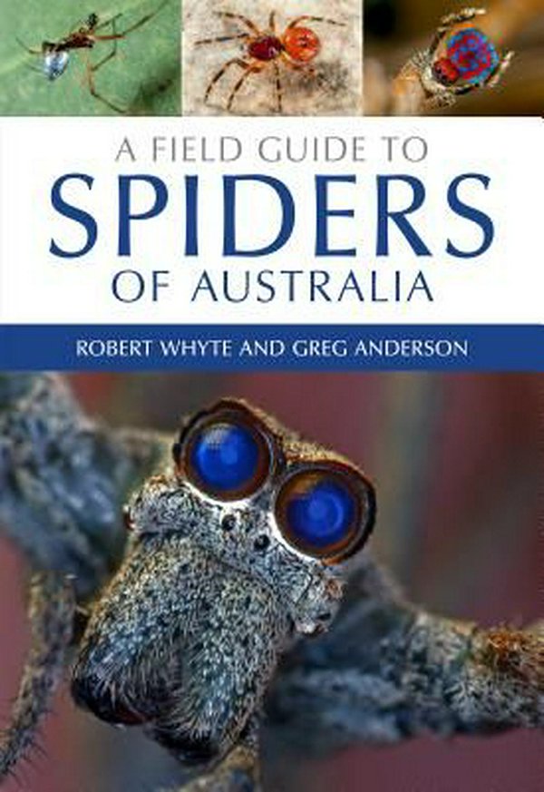 Cover Art for 9780643107076, A Field Guide to Spiders of Australia by Robert Whyte, Greg Anderson