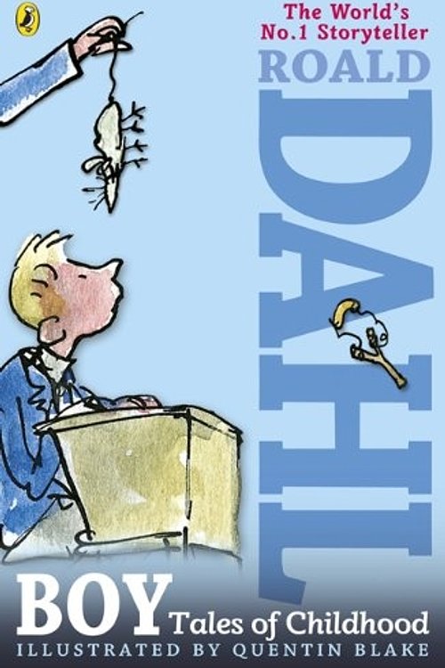 Cover Art for 9780613639224, Boy by Roald Dahl