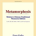 Cover Art for 9780497900991, Metamorphosis (Webster's Chinese-Simplified Thesaurus Edition) by Icon Reference