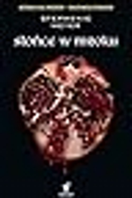 Cover Art for 9788327160768, Słońce w mroku by Stephenie Meyer
