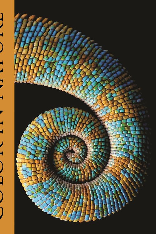 Cover Art for 9780691258614, Color in Nature by Thomas Cronin