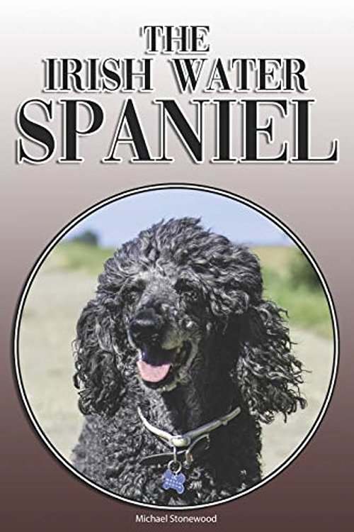 Cover Art for 9781093626353, The Irish Water Spaniel: A Complete and Comprehensive Owners Guide To: Buying, Owning, Health, Grooming, Training, Obedience, Understanding and Caring for Your Irish Water Spaniel by Michael Stonewood