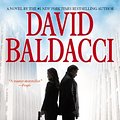 Cover Art for 9781455545476, The Hit by David Baldacci