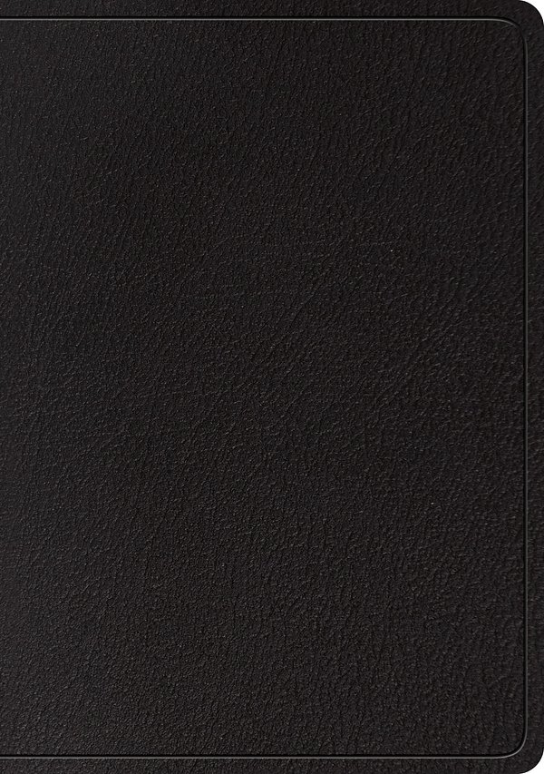 Cover Art for 9781433561955, ESV Large Print Wide Margin Bible (Black) by Crossway
