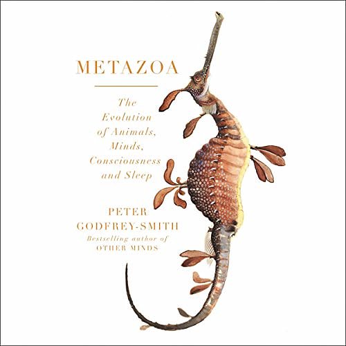 Cover Art for B084RQC8PJ, Metazoa: The Evolution of Animals, Minds, Consciousness and Sleep by Peter Godfrey-Smith