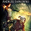 Cover Art for 9782811205072, Sorceleur, Tome 2 : L'Epée de la providence by Andrzej Sapkowski