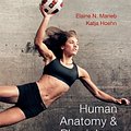 Cover Art for 9780321743268, Human Anatomy & Physiology by Elaine N. Marieb