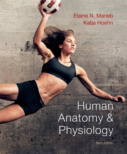 Cover Art for 9780321743268, Human Anatomy & Physiology by Elaine N. Marieb