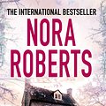 Cover Art for 9780749958602, Dark Witch by Nora Roberts