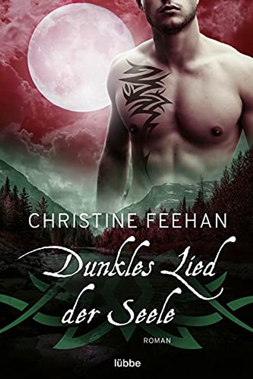 Cover Art for 9783404184965, Dunkles Lied der Seele: Roman by Christine Feehan