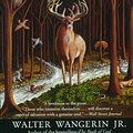 Cover Art for 9780060593216, Saint Julian by Walter Wangerin