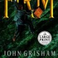 Cover Art for 9780712659109, The Firm by John Grisham