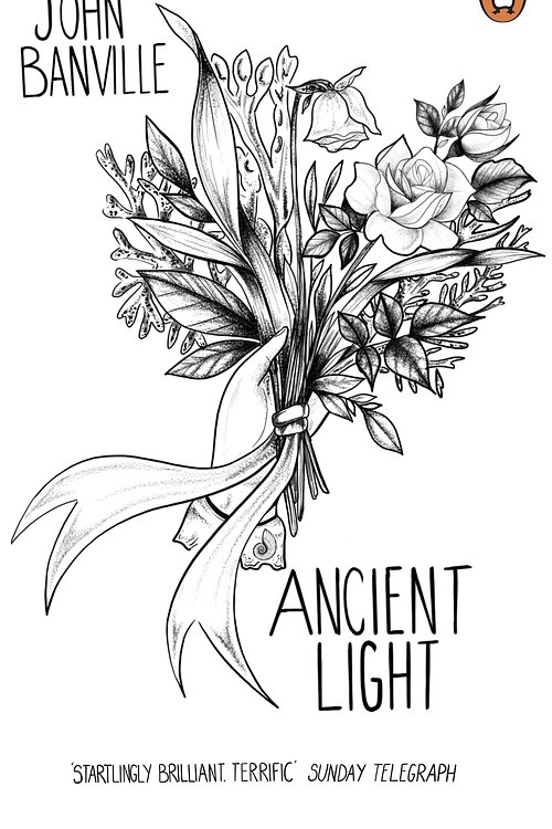Cover Art for 9780241986455, Ancient Light (Penguin Essentials) by John Banville