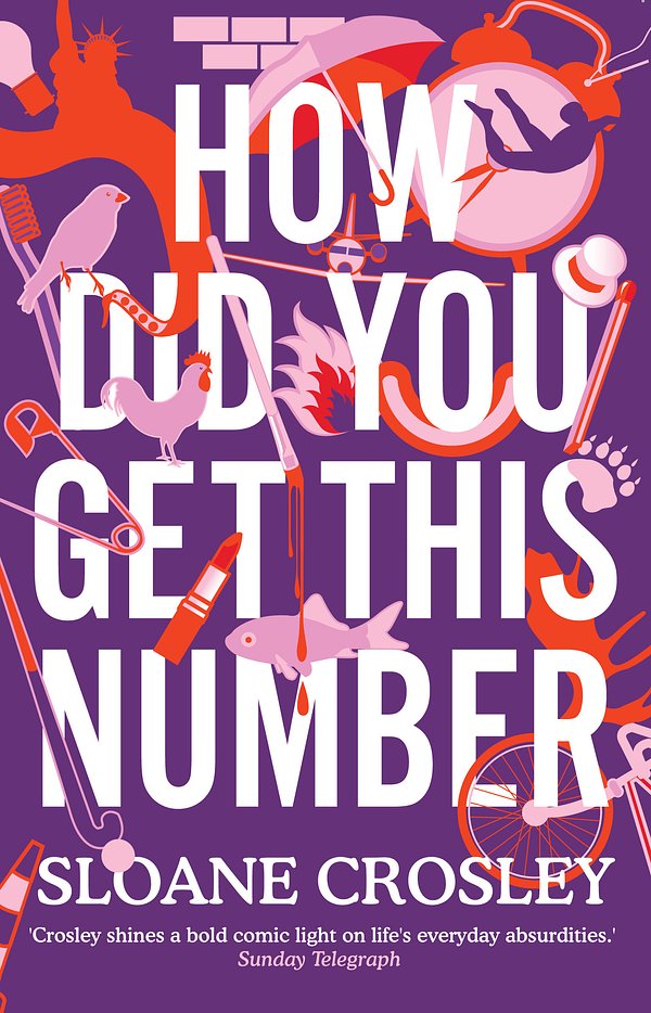 Cover Art for 9781846272264, How Did You Get This Number by Sloane Crosley