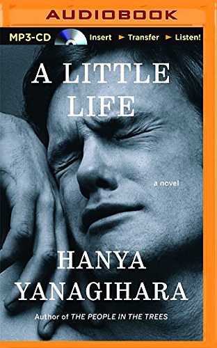 Cover Art for 9781511358606, A Little Life by Hanya Yanagihara