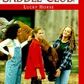 Cover Art for 9780553486759, Lucky Horse (Saddle Club No. 89) by Bonnie Bryant