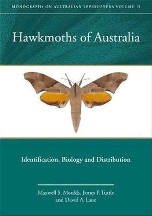 Cover Art for 9781486302819, Hawkmoths of Australia: Identification, Biology and Distribution by Maxwell S. Moulds, James P. Tuttle, David A. Lane