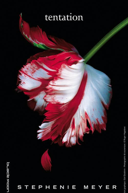 Cover Art for 9782012019713, Twilight - Tome 2: Tentation by Stephenie Meyer