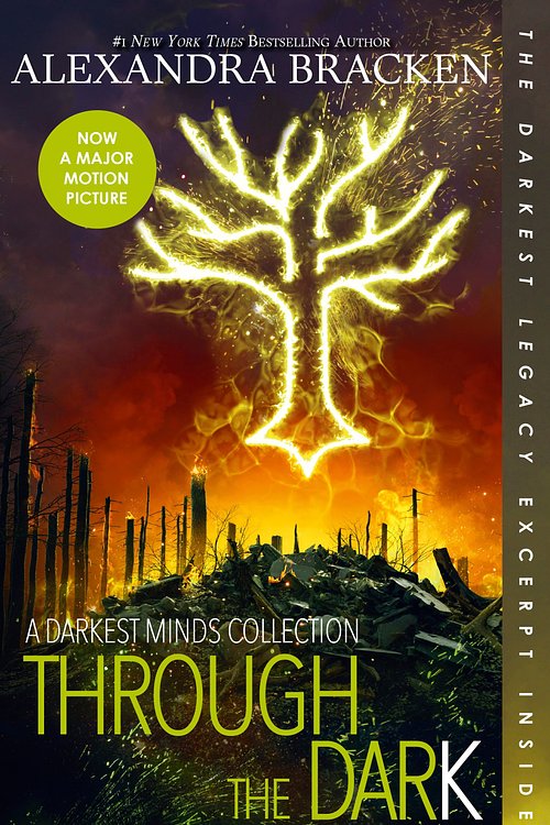 Cover Art for 9781460756447, Through the Dark by Alexandra Bracken