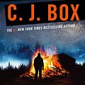 Cover Art for B006G0VG8S, Nowhere to Run (Joe Pickett series Book 10) by C.j. Box