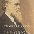 Cover Art for 9781857152586, Origin Of The Species by Charles Darwin